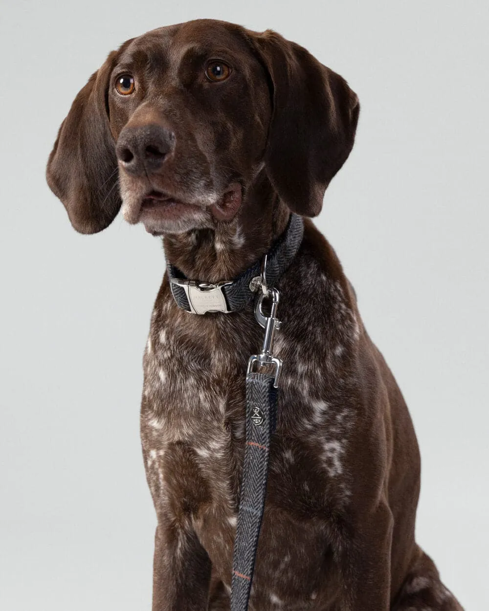 Grey Checked Herringbone Tweed Dog Lead